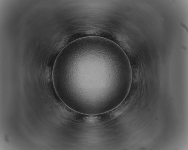 X0000091890273200709121445