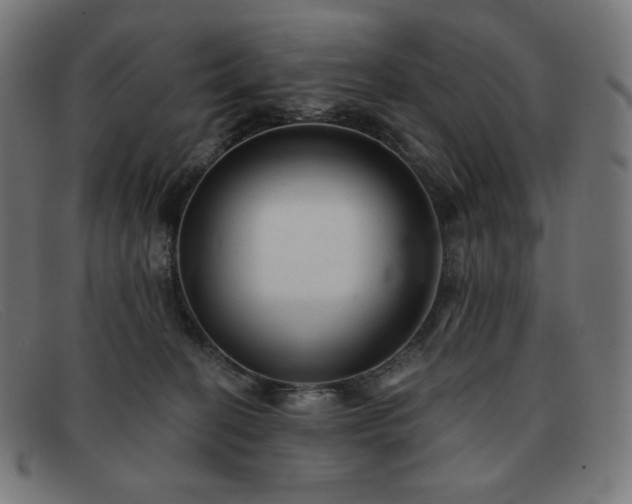 X0000091890274200709121445