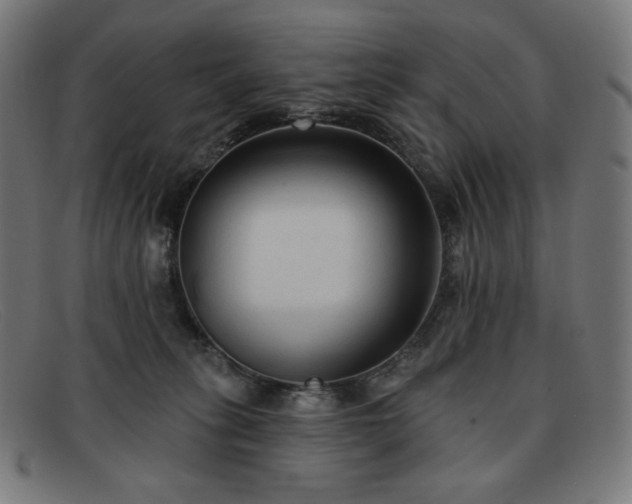 X0000091890275200709121445