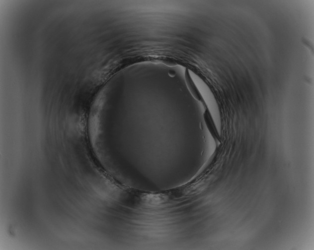 X0000091890277200709121445