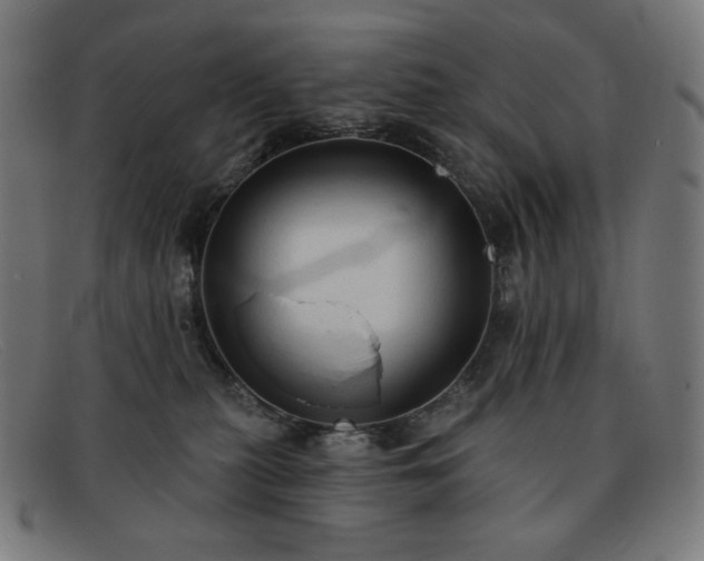 X0000091890279200709121445