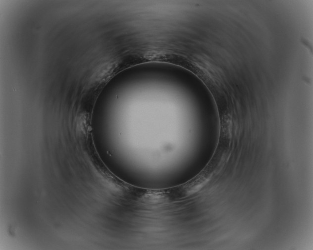 X0000091890280200709121445