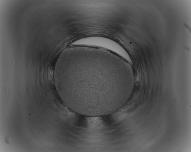 X0000091890281200709121445