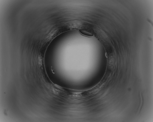 X0000091890282200709121445
