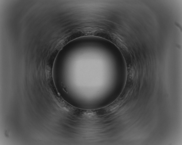 X0000091890283200709121445