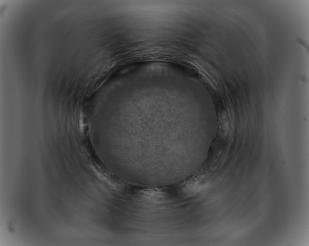 X0000091890284200709121445