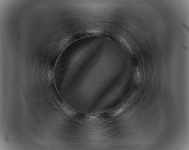 X0000091890285200709121445