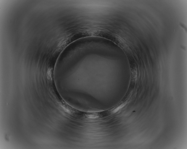 X0000091890286200709121446