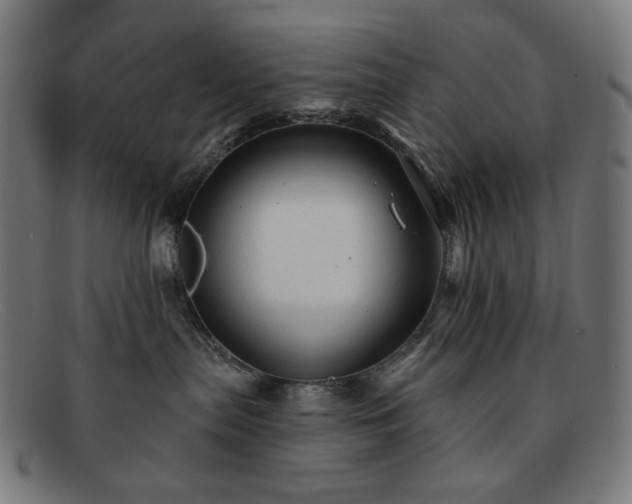 X0000091890287200709121446