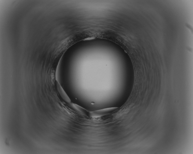 X0000091890288200709121446