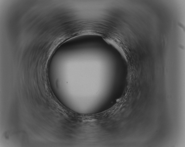 X0000091890289200709121445