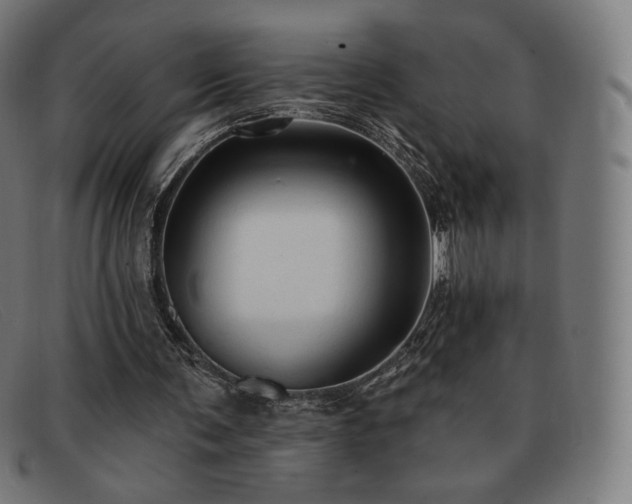X0000091890291200709121445