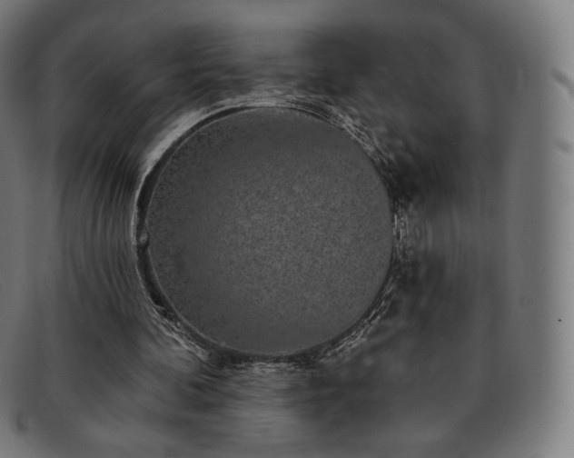 X0000091890292200709121445