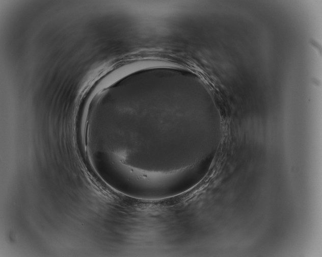 X0000091890293200709121445