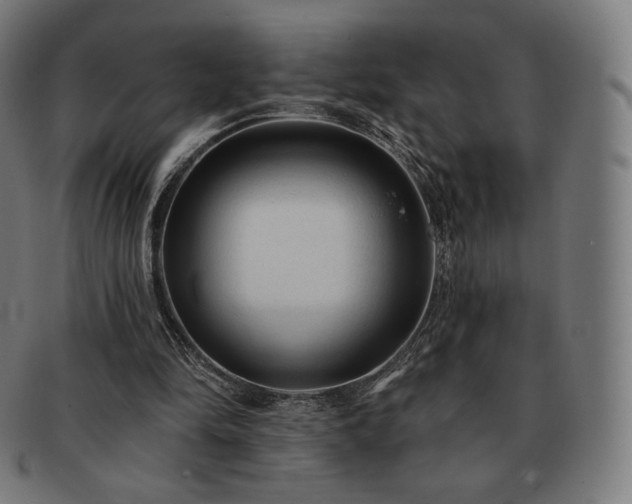 X0000091890294200709121445