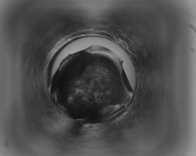 X0000091890295200709121445