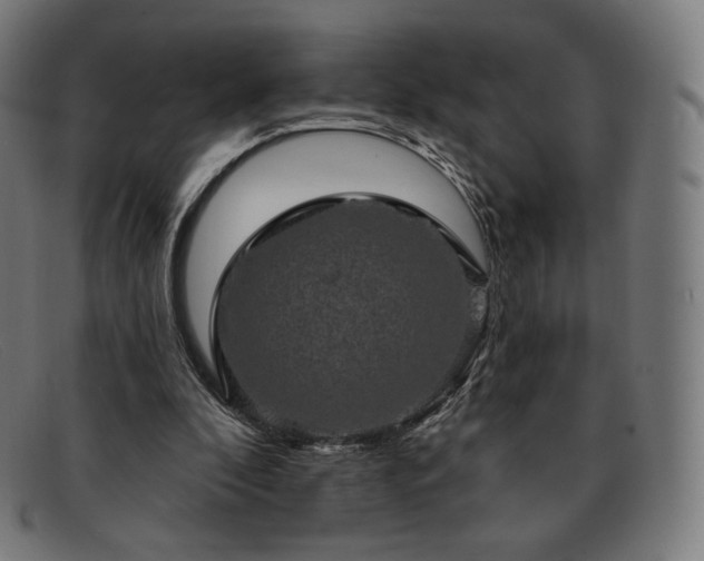 X0000091890296200709121445