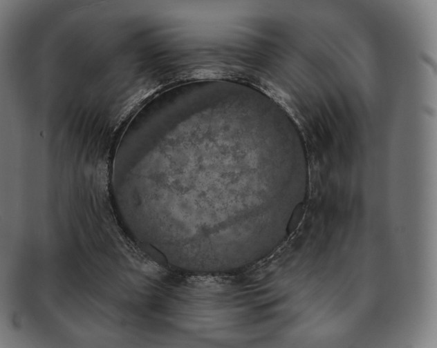 X0000091890297200709121445