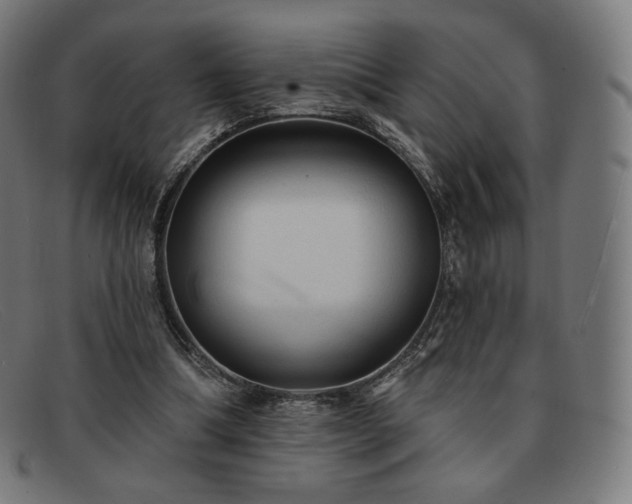 X0000091890298200709121445