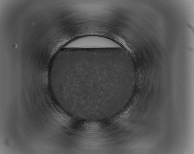 X0000091890299200709121445