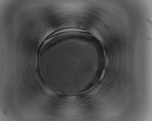X0000091890301200709121445