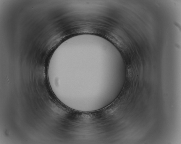 X0000091890302200709121445