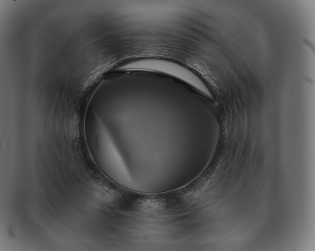 X0000091890303200709121445