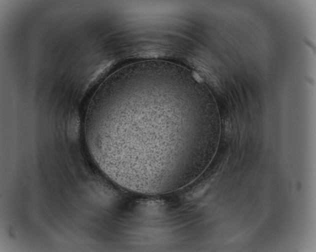 X0000091890304200709121445