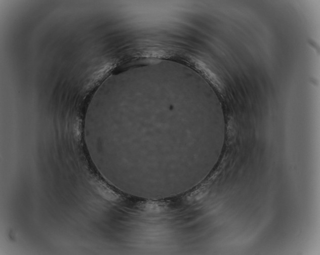 X0000091890305200709121445