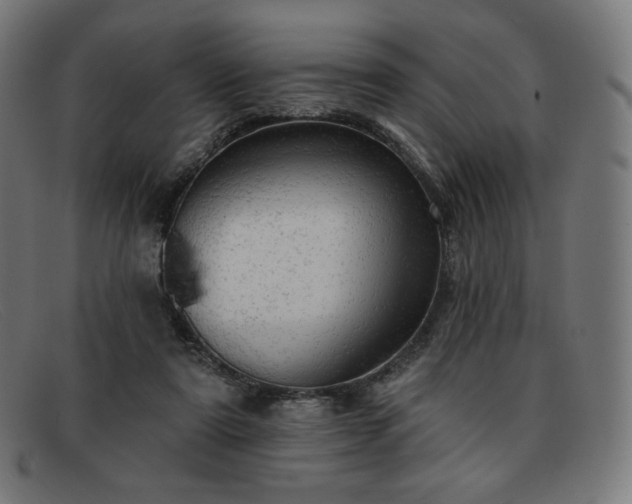 X0000091890307200709121445