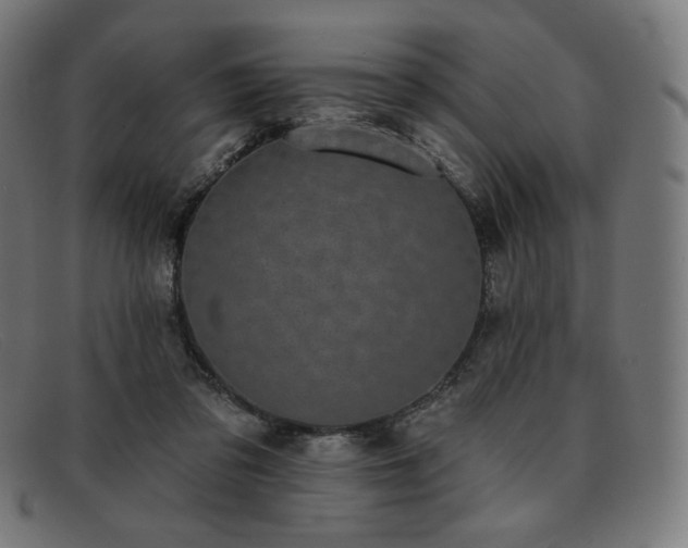 X0000091890309200709121445