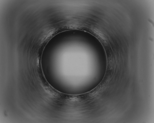 X0000091890310200709121445