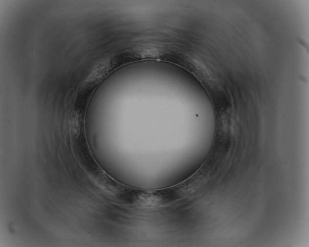 X0000091890311200709121445