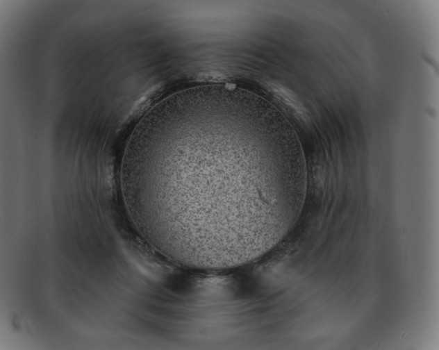 X0000091890312200709121445