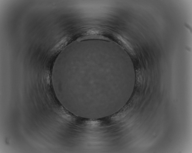 X0000091890313200709121445
