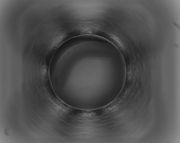 X0000091890314200709121445