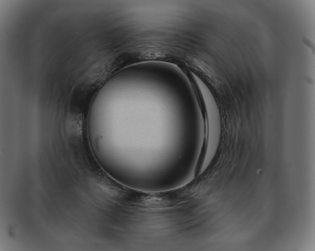 X0000091890315200709121445