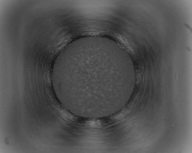 X0000091890317200709121445