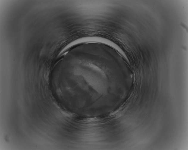 X0000091890319200709121445