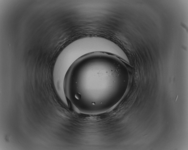 X0000091890320200709121445