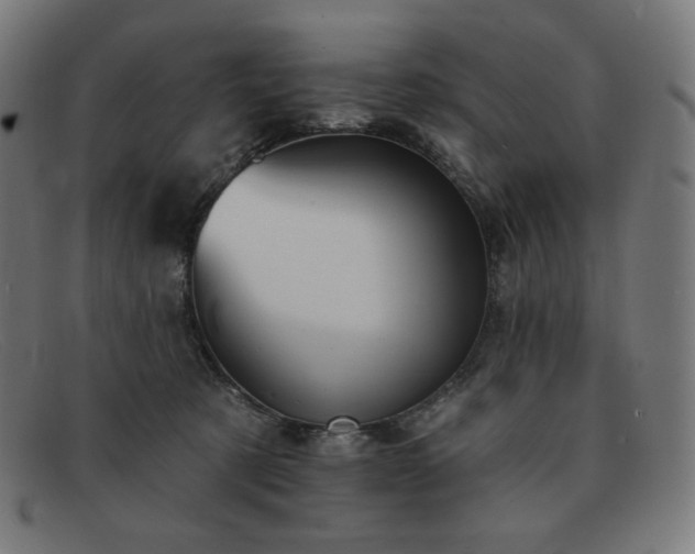 X0000091890321200709121445