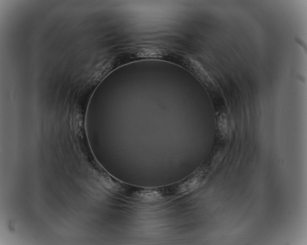X0000091890322200709121445