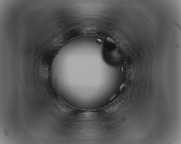 X0000091890323200709121445