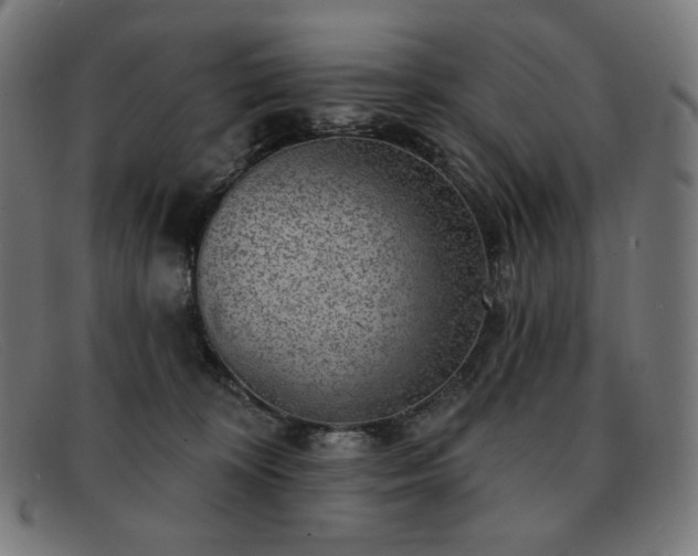 X0000091890324200709121445