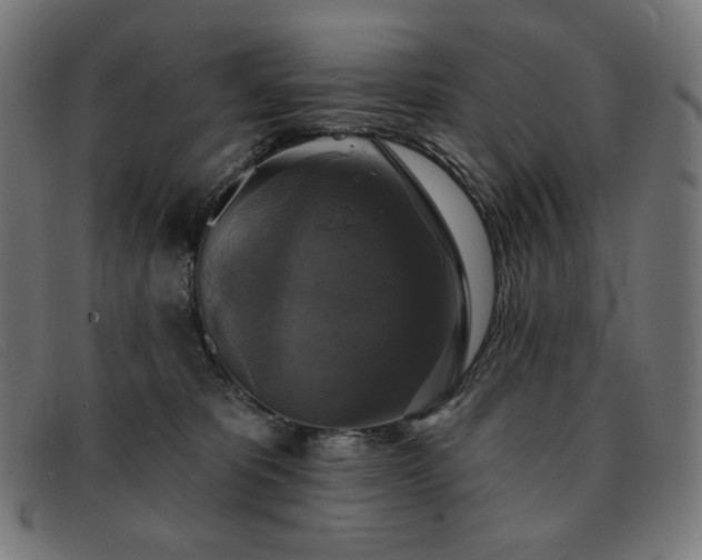 X0000091890325200709121445
