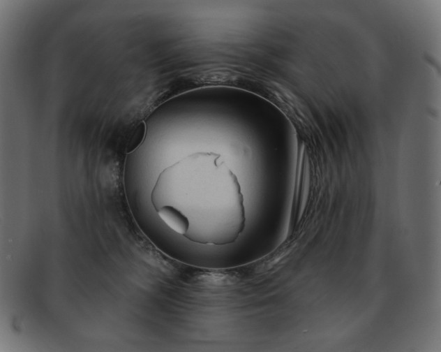 X0000091890326200709121445