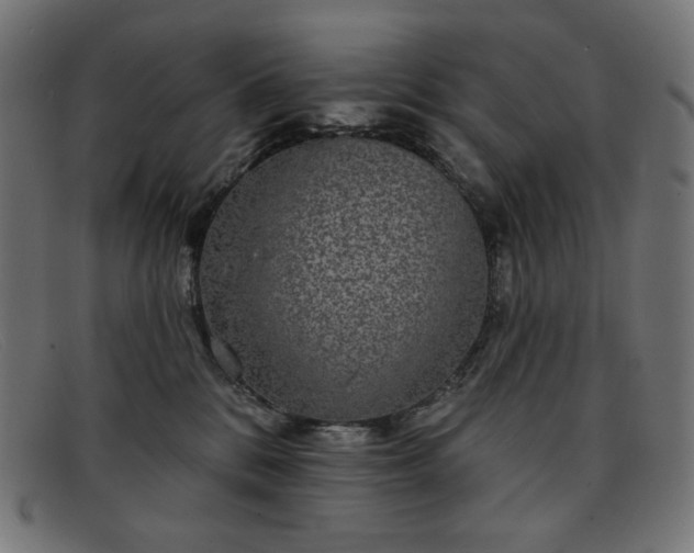 X0000091890328200709121444