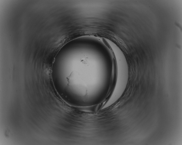 X0000091890329200709121444