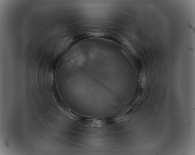 X0000091890330200709121444