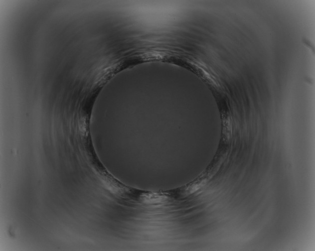 X0000091890331200709121444